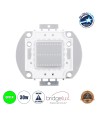 GloboStar® 73770 Υψηλής Ισχύος LED COB BRIDGELUX 30W 1500lm DC 20-24V - Μ5.5 x Π5.2 x Υ0.4cm - Πράσινο - 2 Χρόνια Εγγύηση